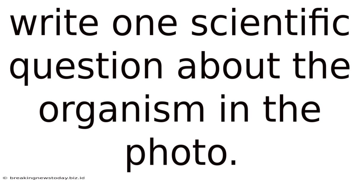 Write One Scientific Question About The Organism In The Photo.