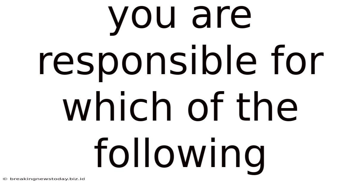 You Are Responsible For Which Of The Following