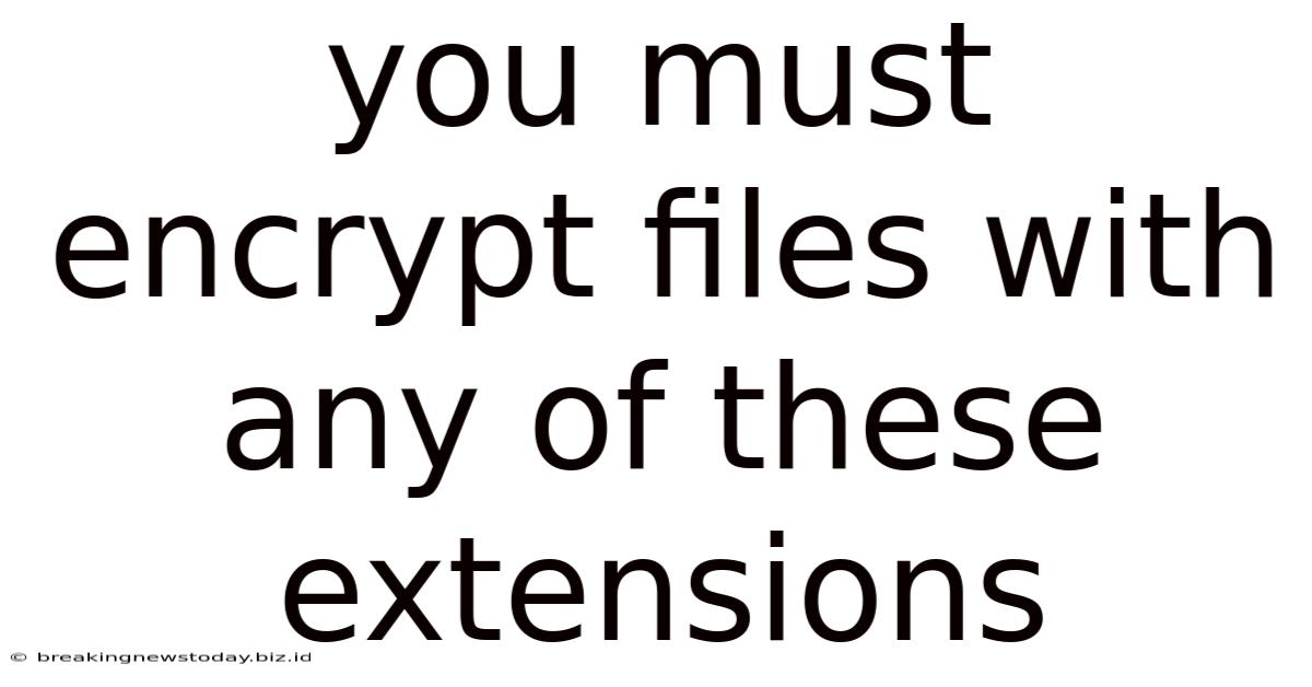 You Must Encrypt Files With Any Of These Extensions