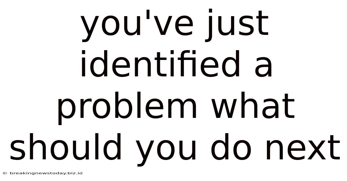 You've Just Identified A Problem What Should You Do Next