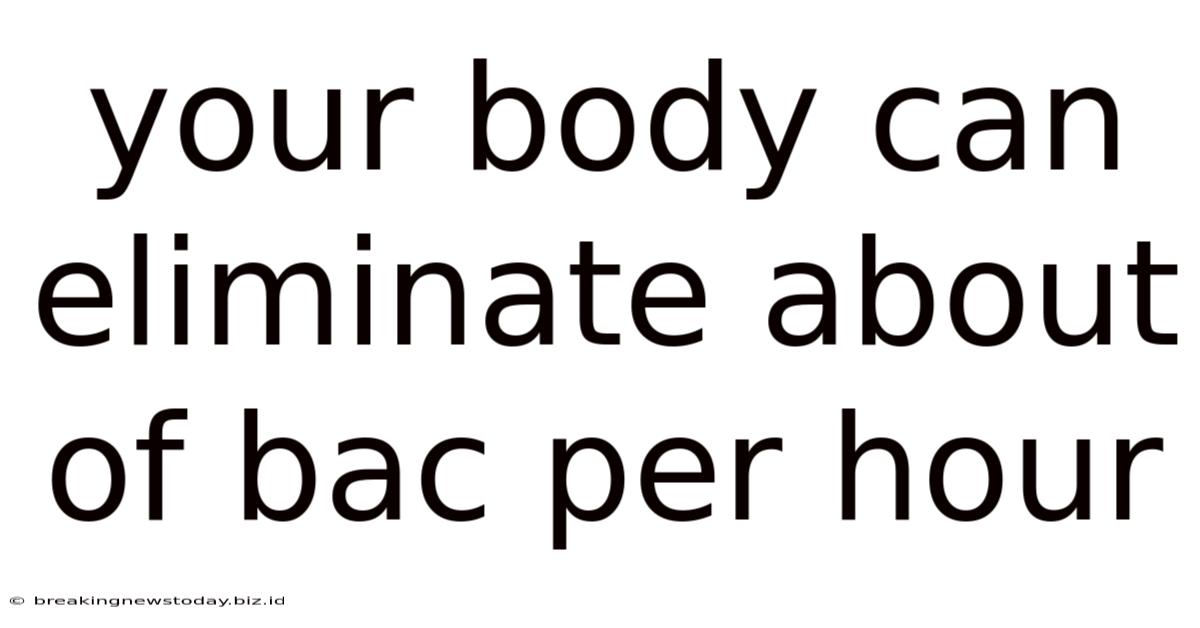 Your Body Can Eliminate About Of Bac Per Hour