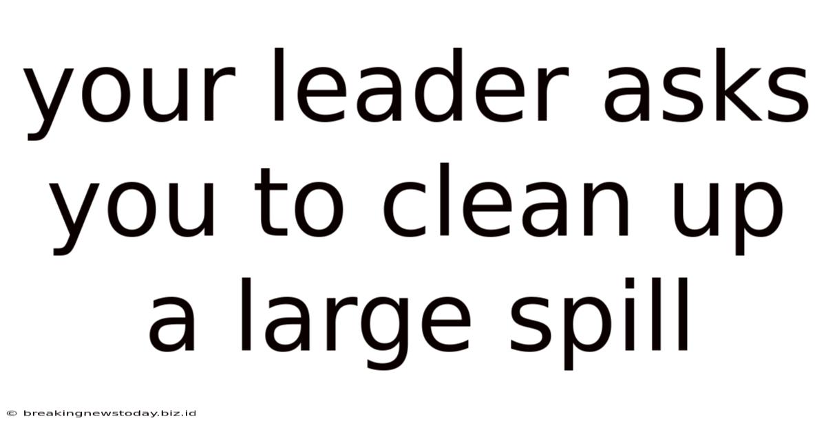 Your Leader Asks You To Clean Up A Large Spill